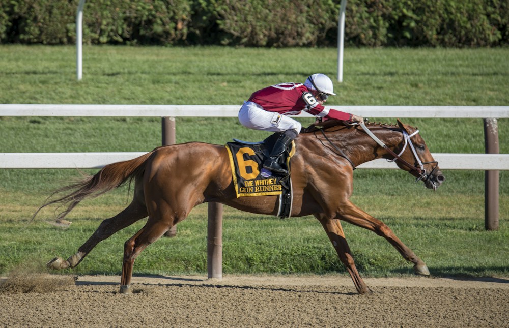 疾走する競走馬と騎手。サービスのイメージ写真